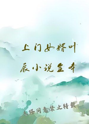 上门女婿叶辰小说全本