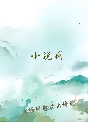 小说网