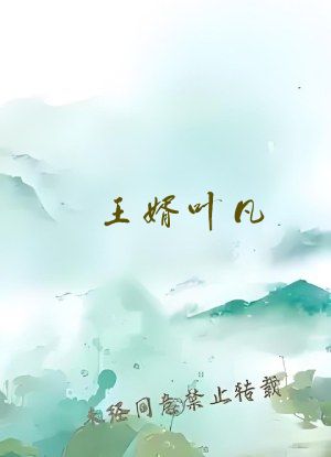 王婿叶凡