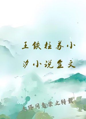 王铁柱苏小汐小说全文