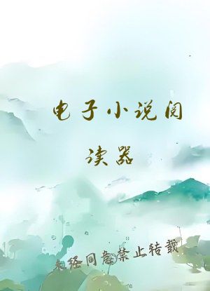 电子小说阅读器