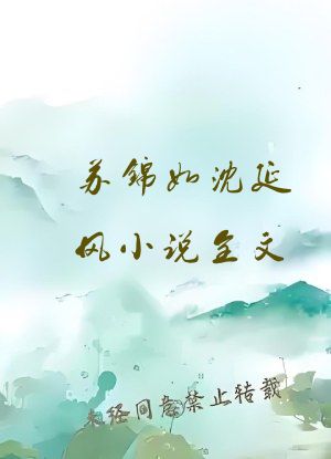 苏锦如沈延风小说全文