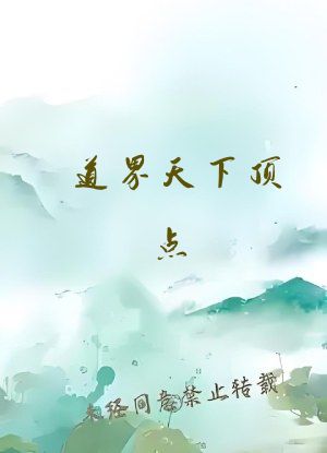 道界天下顶点